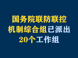 【短视频题图】国务院联防联控机制综合组已派出20个工作组.jpg